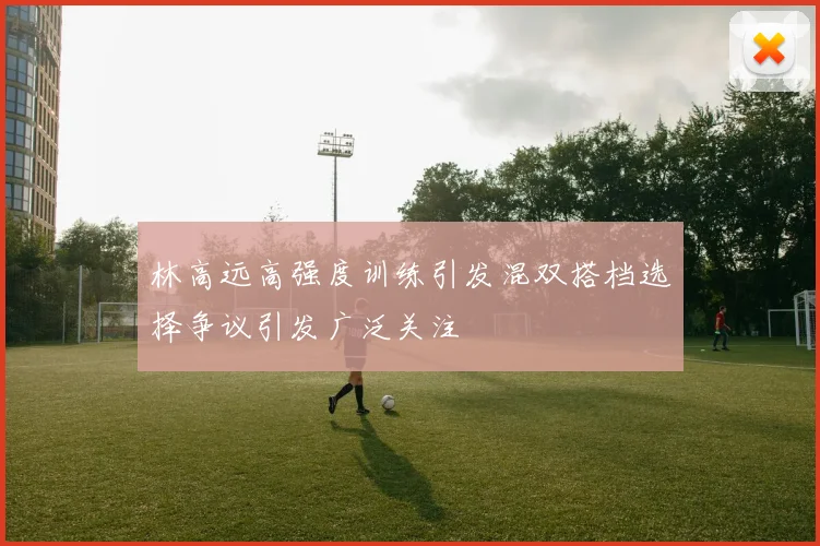 林高远高强度训练引发混双搭档选择争议引发广泛关注